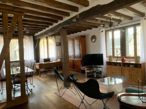 Rouen historique, appartement 113m2 Duplex